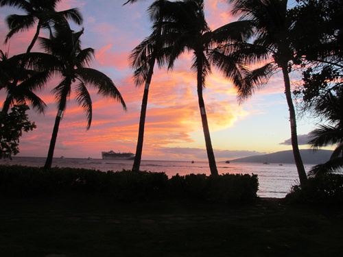 2013 - Hawaii 2 139a