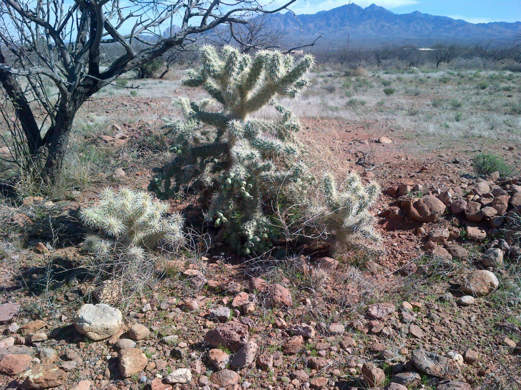 click image to enlarge