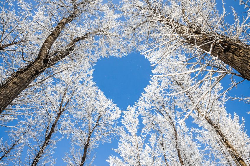 February Inspiration - Getting Through Winter - Reiki newmarket, energy Healing with Karen Armstrong